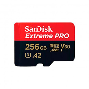 EXTREME PRO MICROSDXC 256GB SD EXT