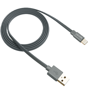 Canyon CNS-MFIC2DG Lightning 0,96 m Plata - Cable
