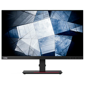 Lenovo ThinkVision P24h-2L 23.8´´ - LED - 2K QHD - Monitor