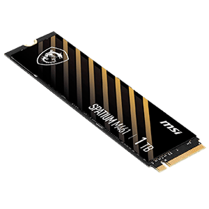 MSI Spatium M461 1TB M2 SSD PCIE3 - Disco Duro