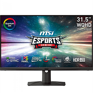 MSI MAG321QR QD 31.5´´ - IPS - 2K QHD - 170Hz - Wide - Monitor
