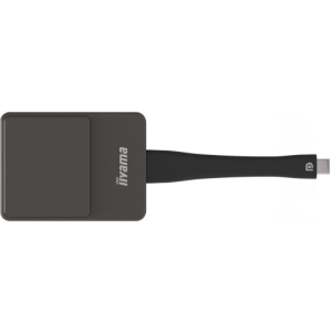 iiyama WP D002C adaptador Smart TV USB 4K Ultra HD Negro, Plata