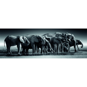 Puzzle Panorama Herd of Giants High Quality 1000pzs Puzzle Panorama Herd of Giants High Quality 1000pzs