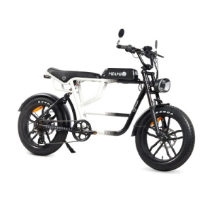 YOUIN E-BIKE URBAN STYLE FAT 2