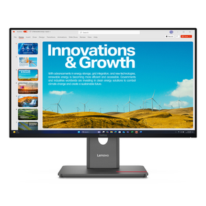 Lenovo ThinkVision P24QD-40 Monitor