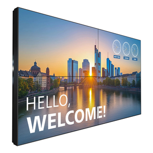 Philips 55BDL3305X LCD Interior