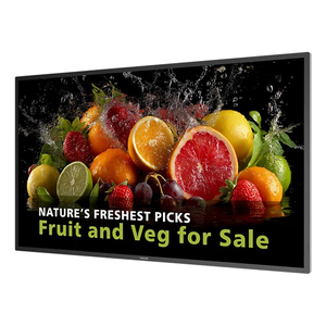 Philips 5000 series 43BDL5050D Pantalla plana para señalización digital 108 cm (42.5") LCD Wifi 600 cd / m² 4K Ultra HD Negro Pr