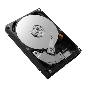 DELL 161-BCFV disco duro interno 2,4 TB 10000 RPM 2.5" SAS