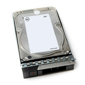 DELL 161-BCJX disco duro interno 12 TB 7200 RPM 3.5" NL-SAS