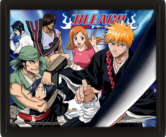 Cuadro 3D Bleach-360