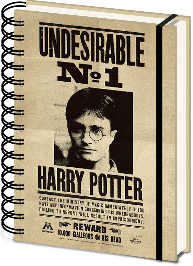 Cuaderno A5 Espiral Harry Potter Sirius & Harry 3D-360