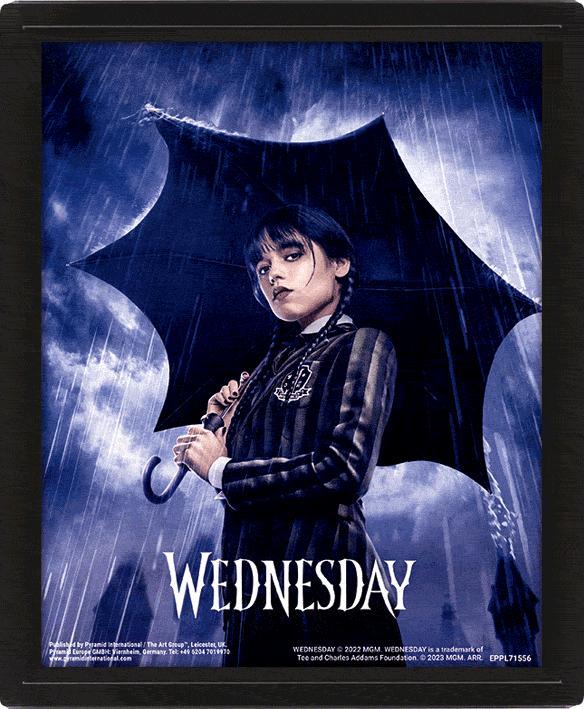 Cuadro 3D Wednesday: Umbrella-360