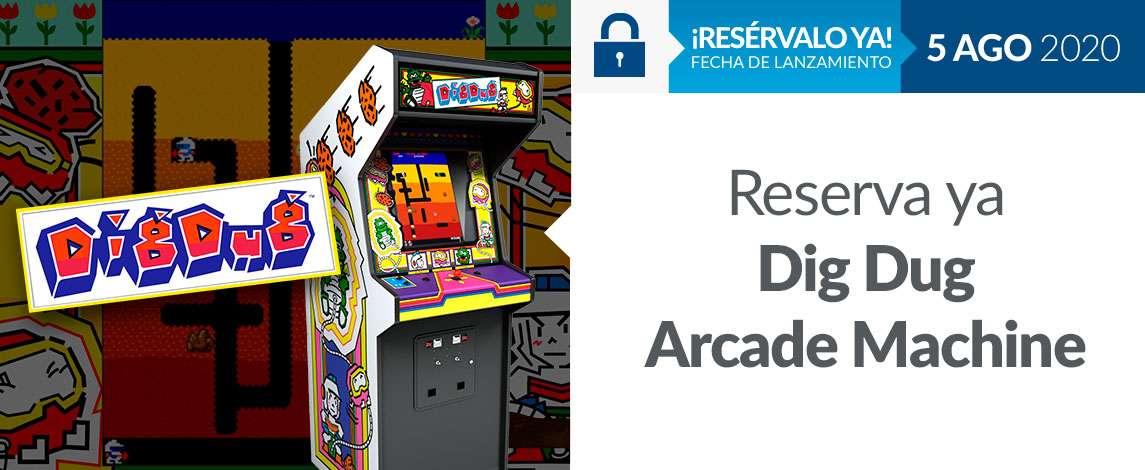 DIG DUG ARCADE MACHINE