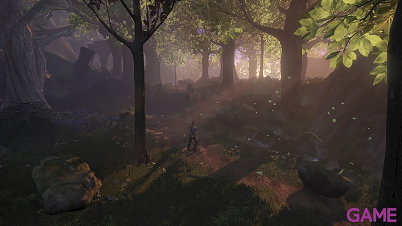 Fable II-7
