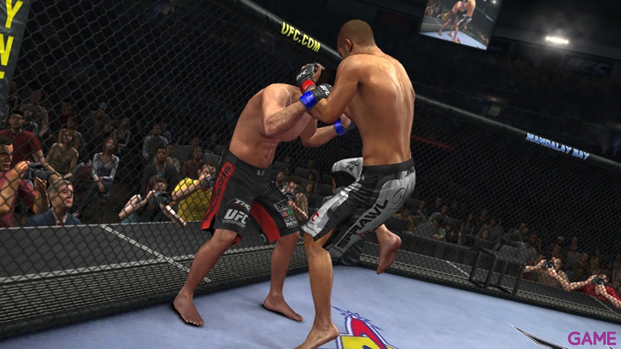 UFC 2010-2