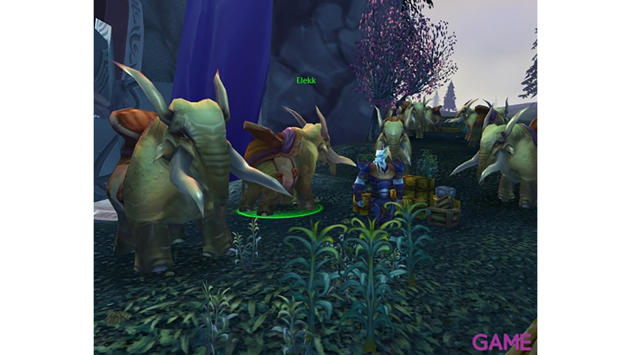 World of Warcraft: Mago-2