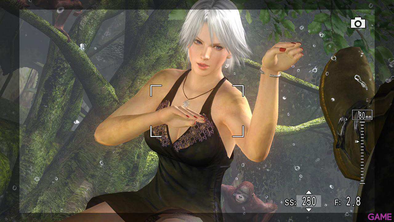 Dead or Alive 5-40