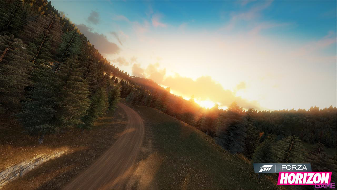 Forza Horizon + Volante Inalambrico-15