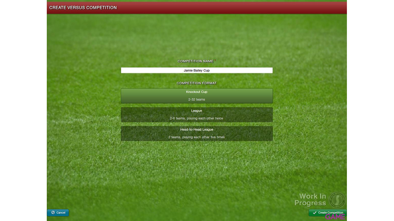 Football Manager 2013-39