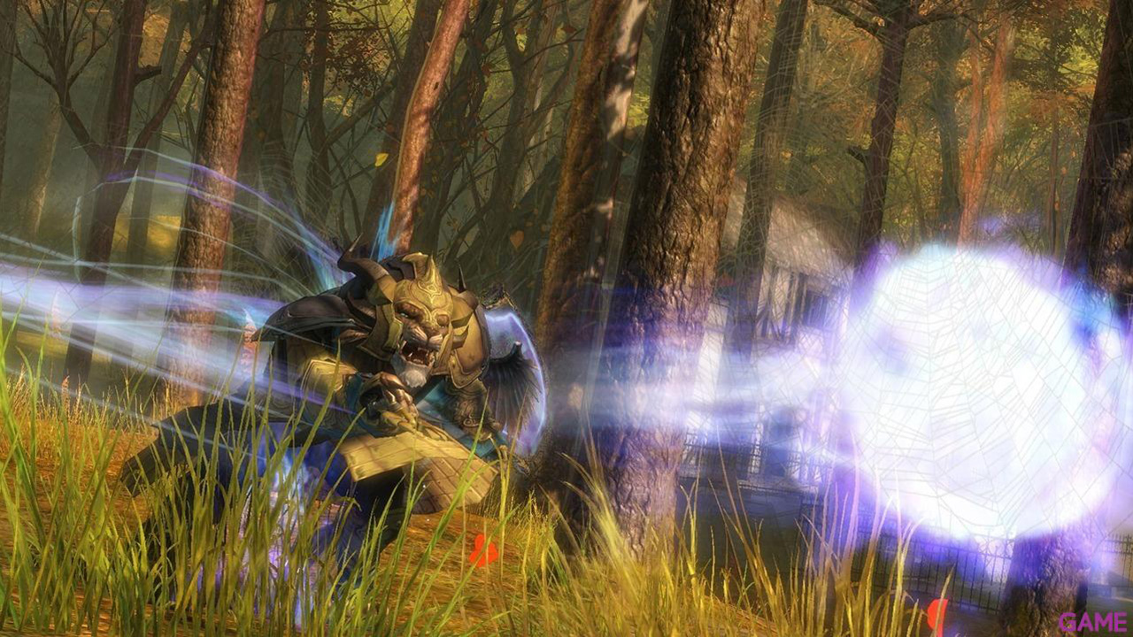 Guild Wars 2 Heroic Edition-7