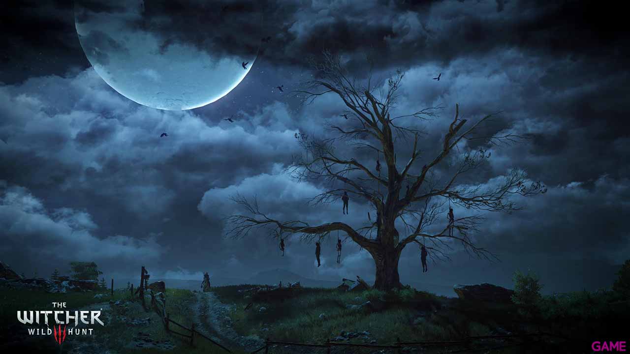 The Witcher 3: Wild Hunt Edicion Coleccionista-4