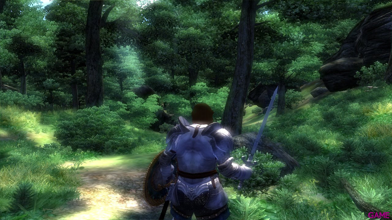 The Elder Scrolls IV: Oblivion 5th Anniversary-5
