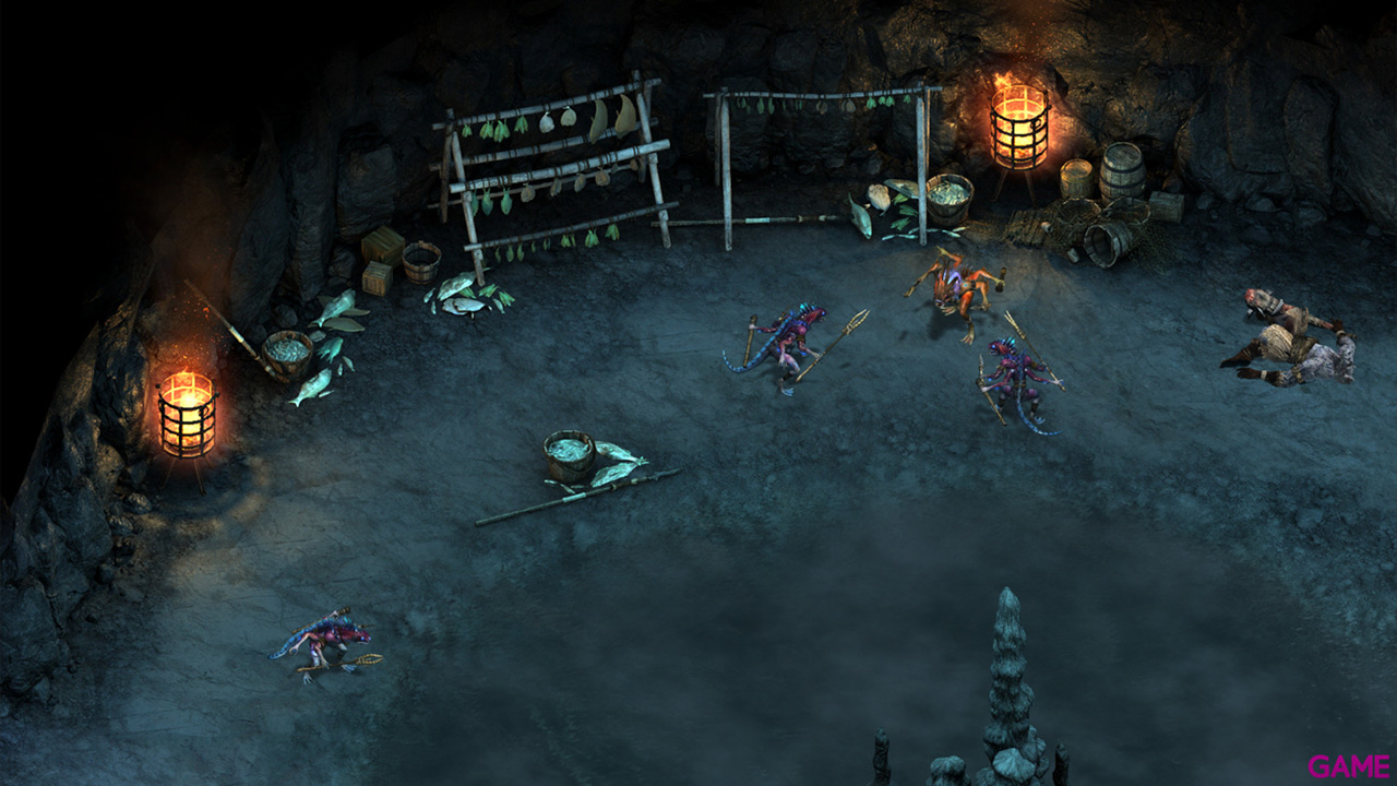 Pillars of Eternity: The White March - Part I-1