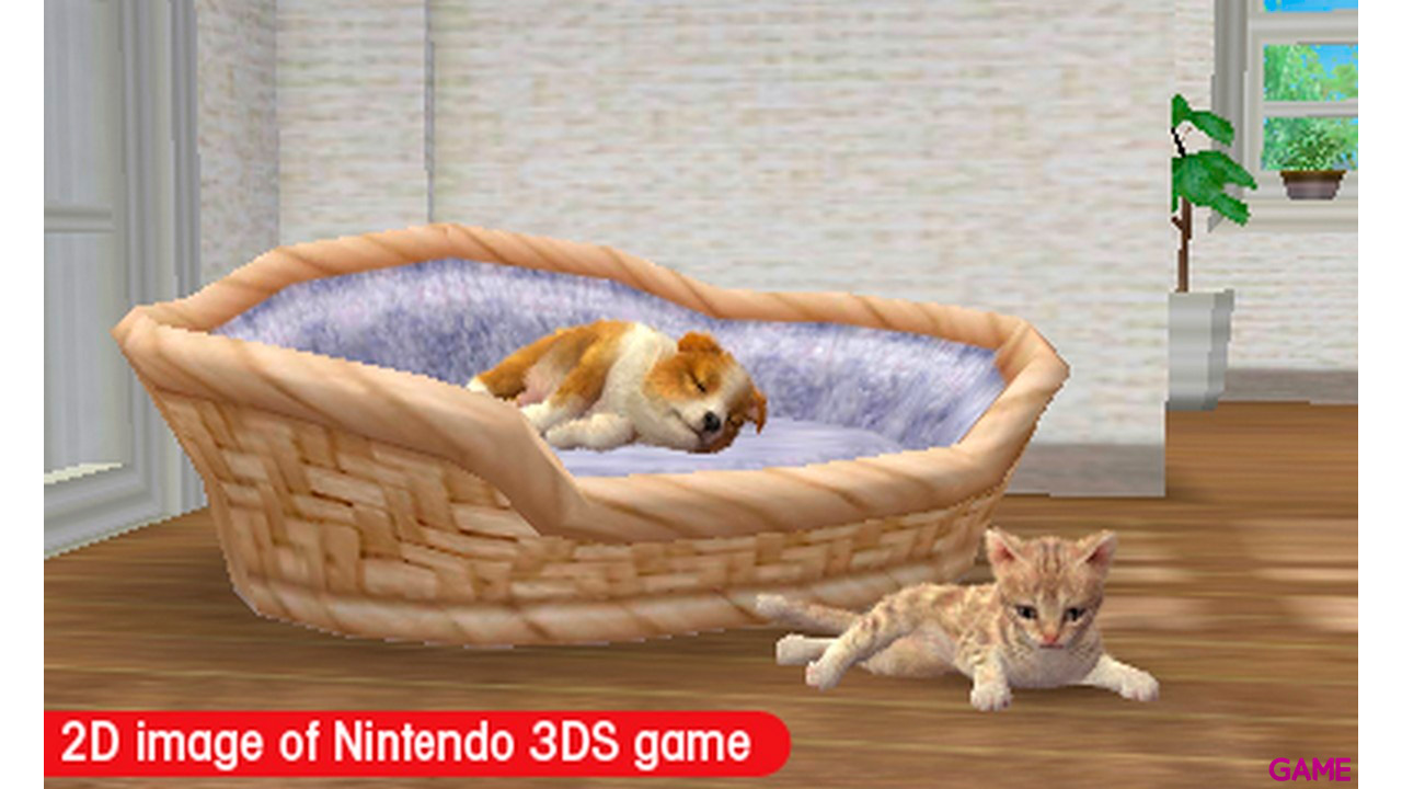 Nintendogs + Gatos: Golden Retiever Nintendo Selects-1