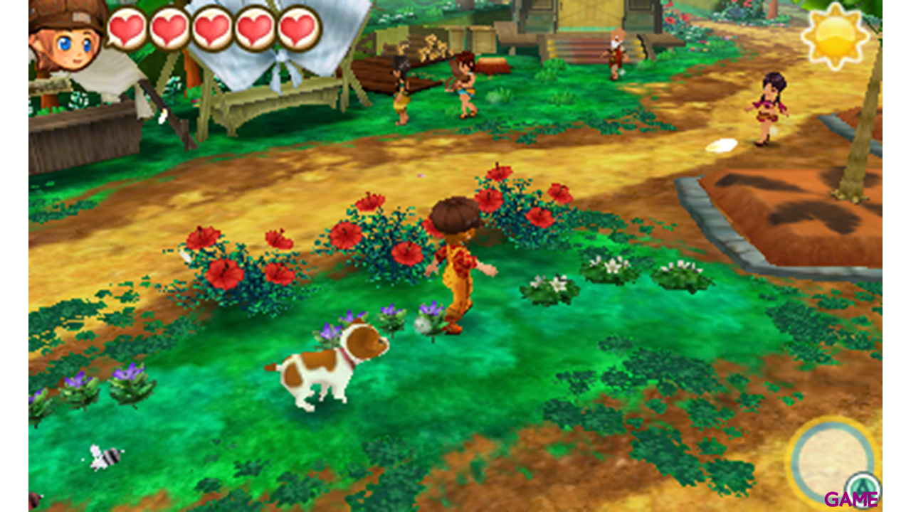 Story of Seasons: Trio of Towns-4