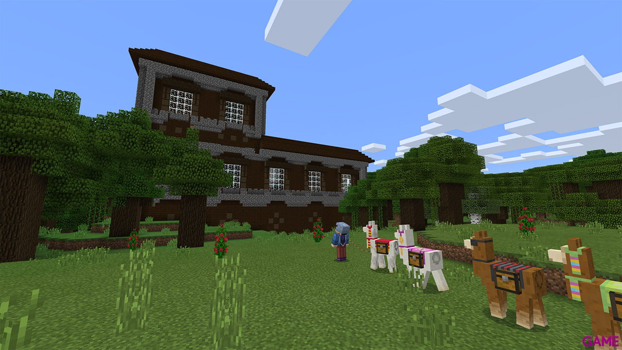 Minecraft Super Plus Pack-2