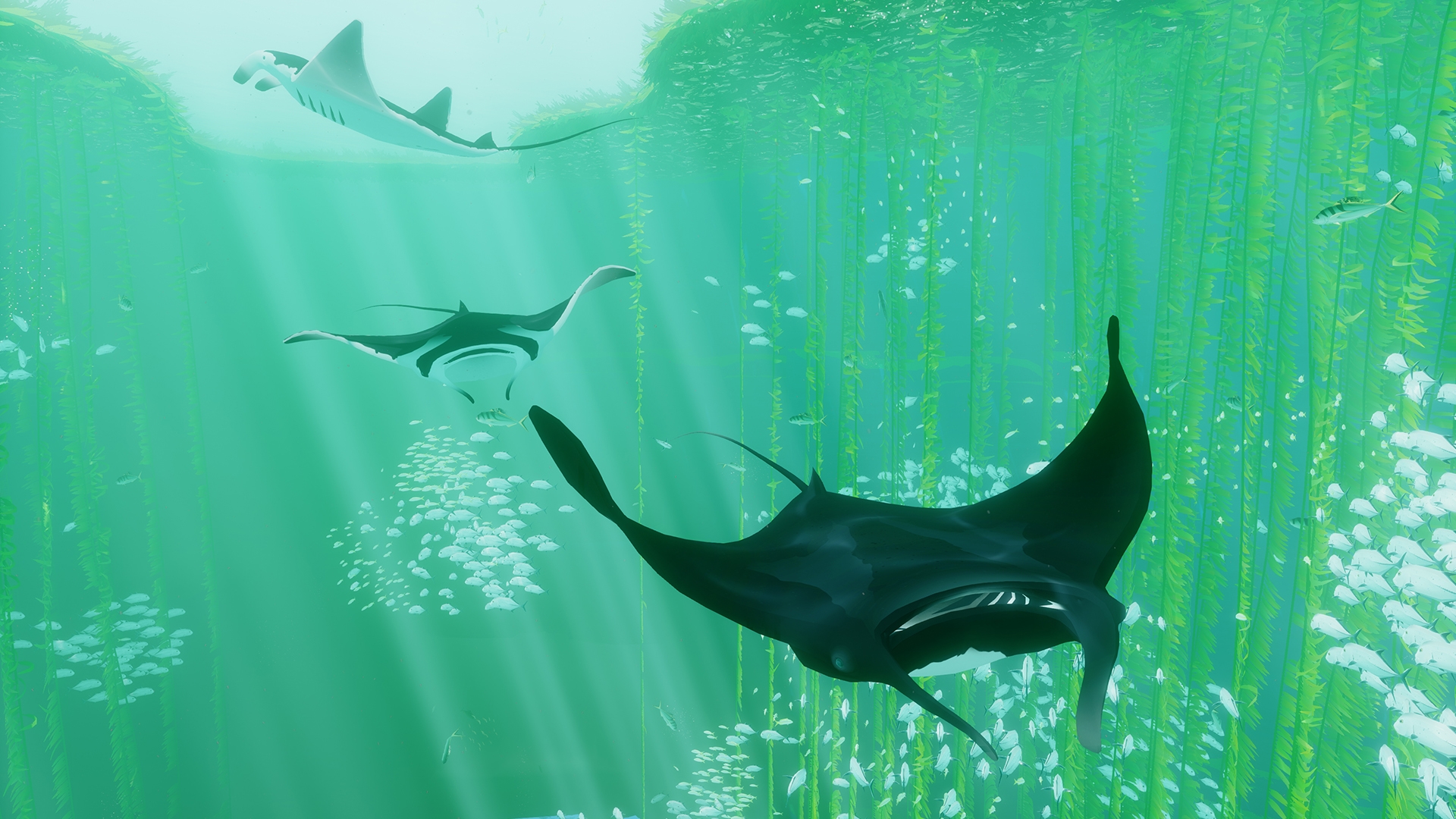 ABZU-3