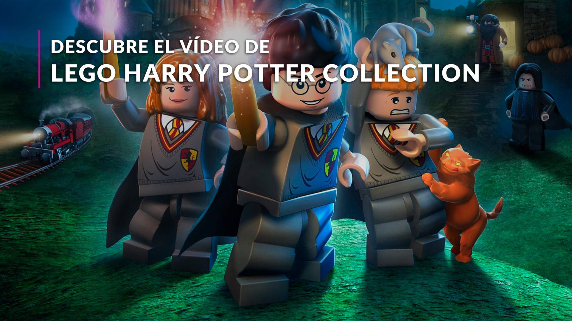 LEGO Harry Potter Collection. Nintendo Switch