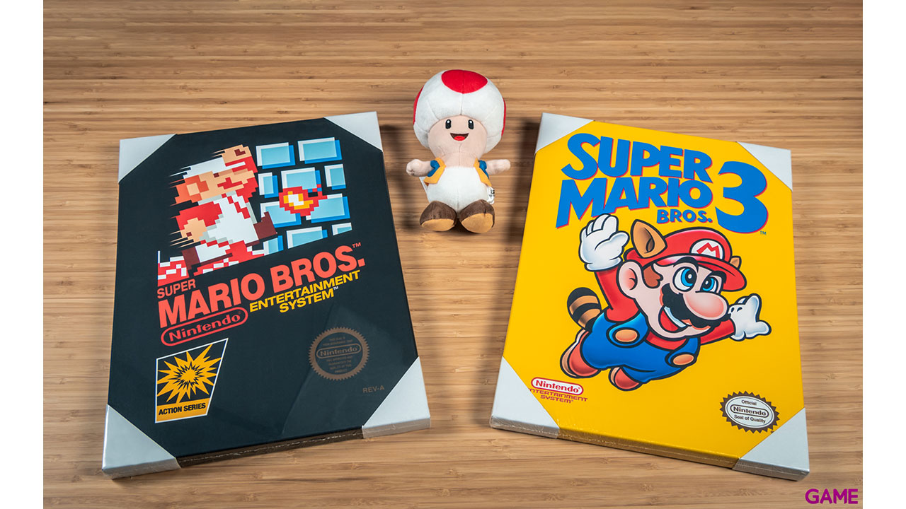 Lienzo Super Mario Bros NES-1