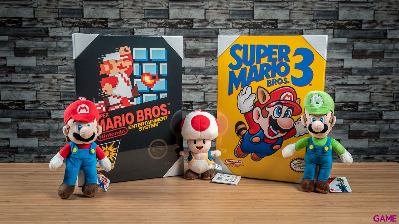 Lienzo Super Mario Bros NES-2