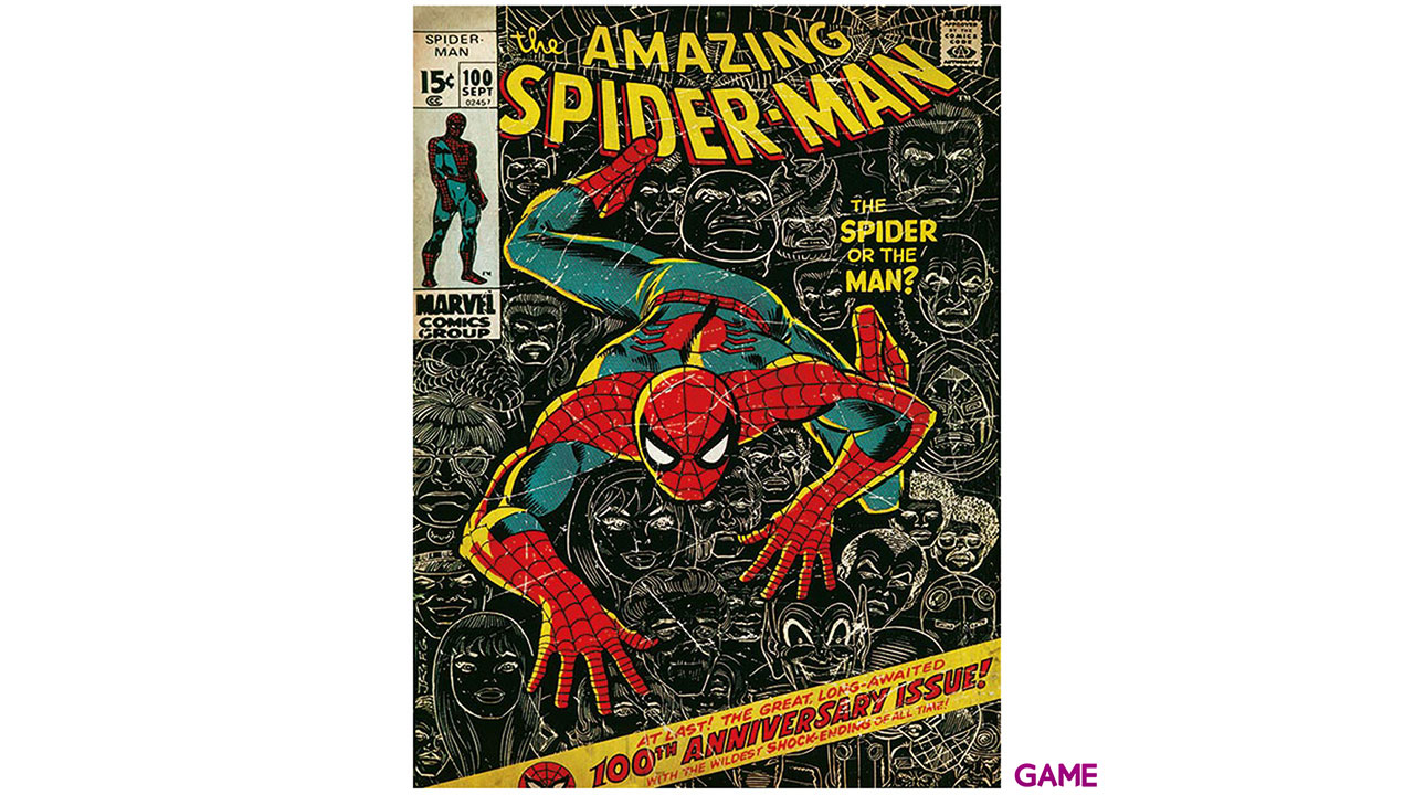 Lienzo Marvel: Spiderman 100º Aniversario-2