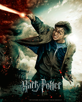 Cuadro 3D Harry Potter: Harry-0