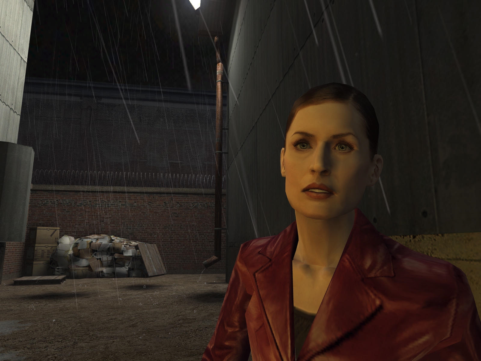 Max Payne Bundle-11