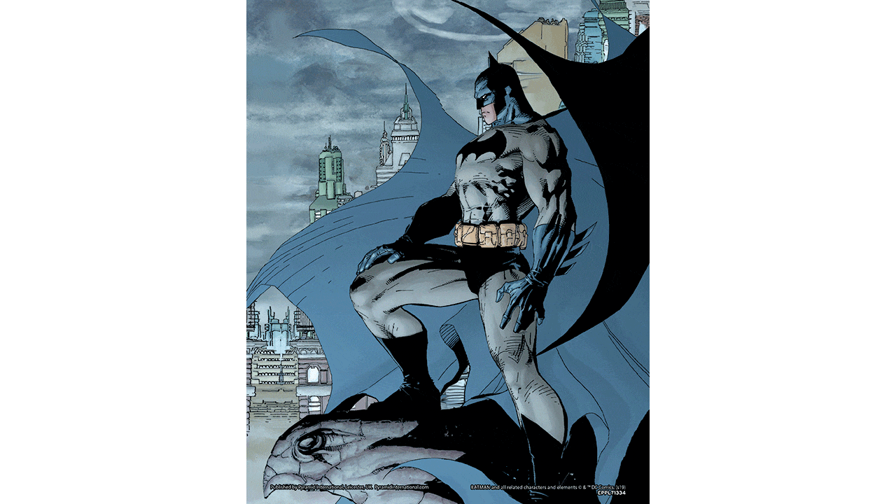 Cuadro 3D Batman: Gotham Watchguard-0