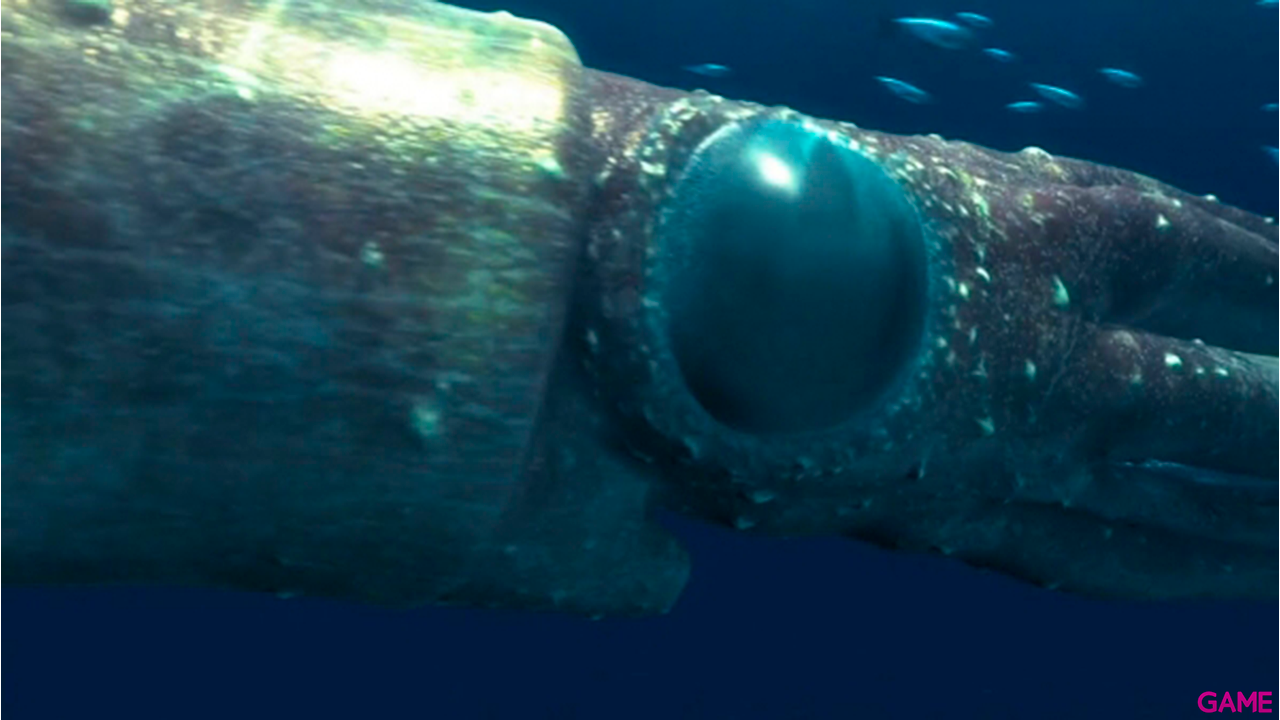 Gigantes Del Oceano-1