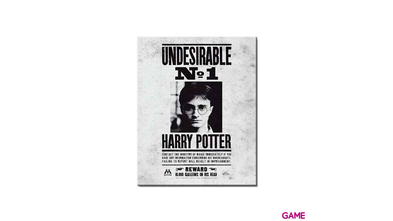 Lienzo 30x40 Harry Potter: Indeseable nº 1-0