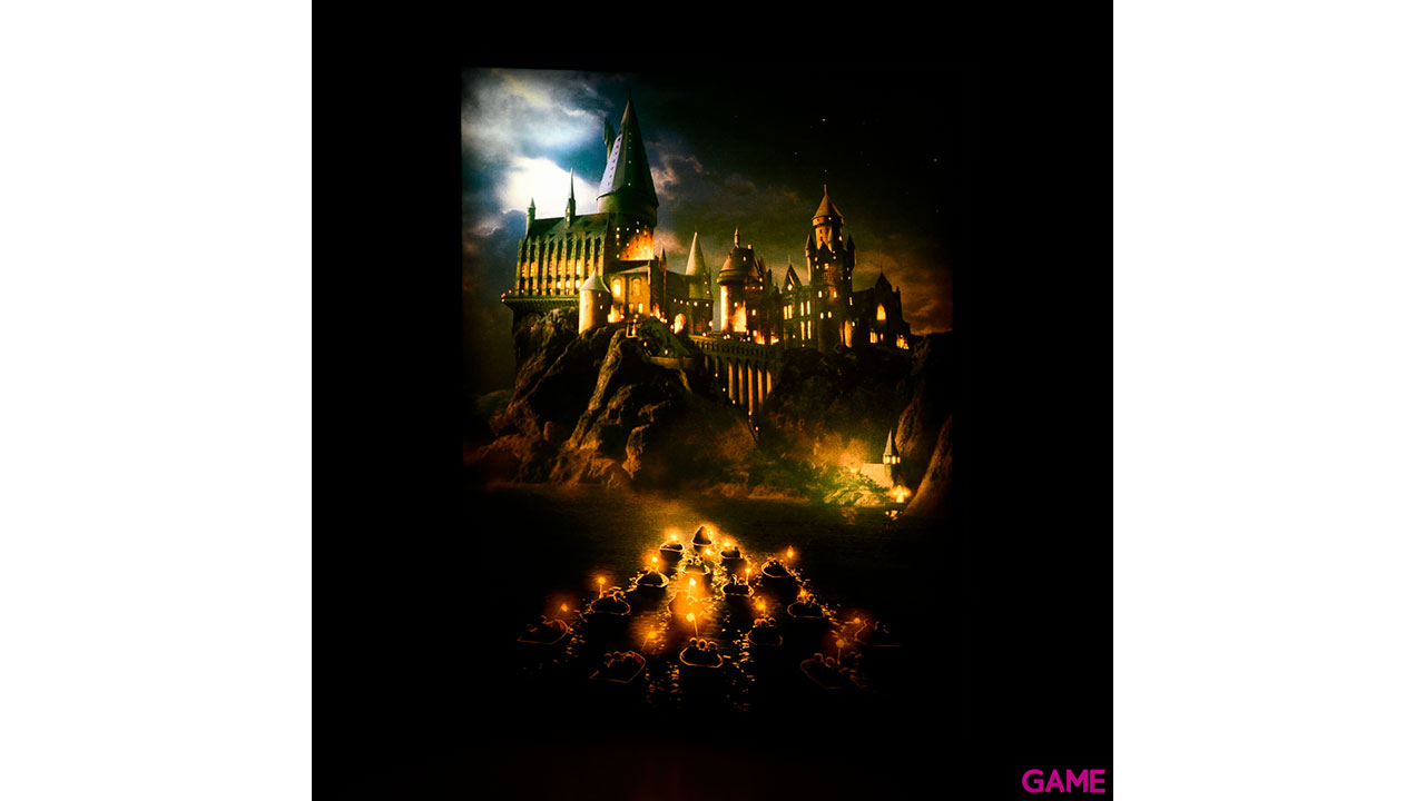 Lienzo con Iluminación 30x40cm Harry Potter: Hogwarts-2