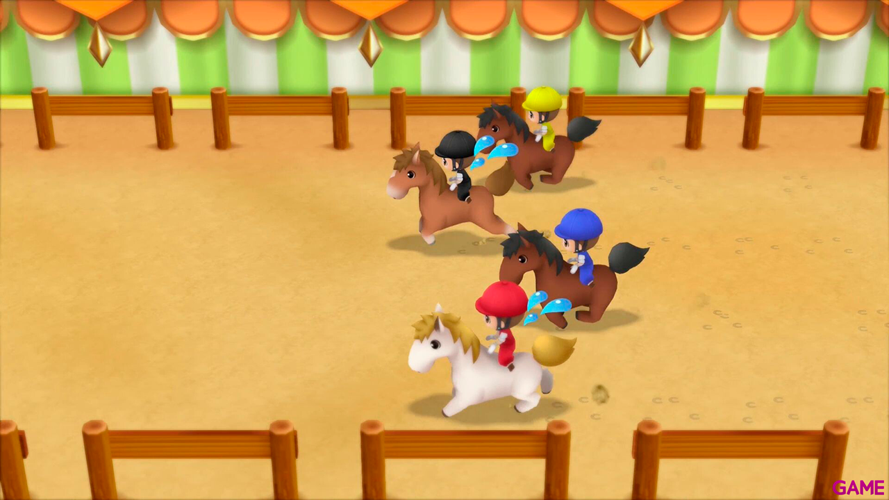 Story Of Seasons: Friends Of Mineral Town-14