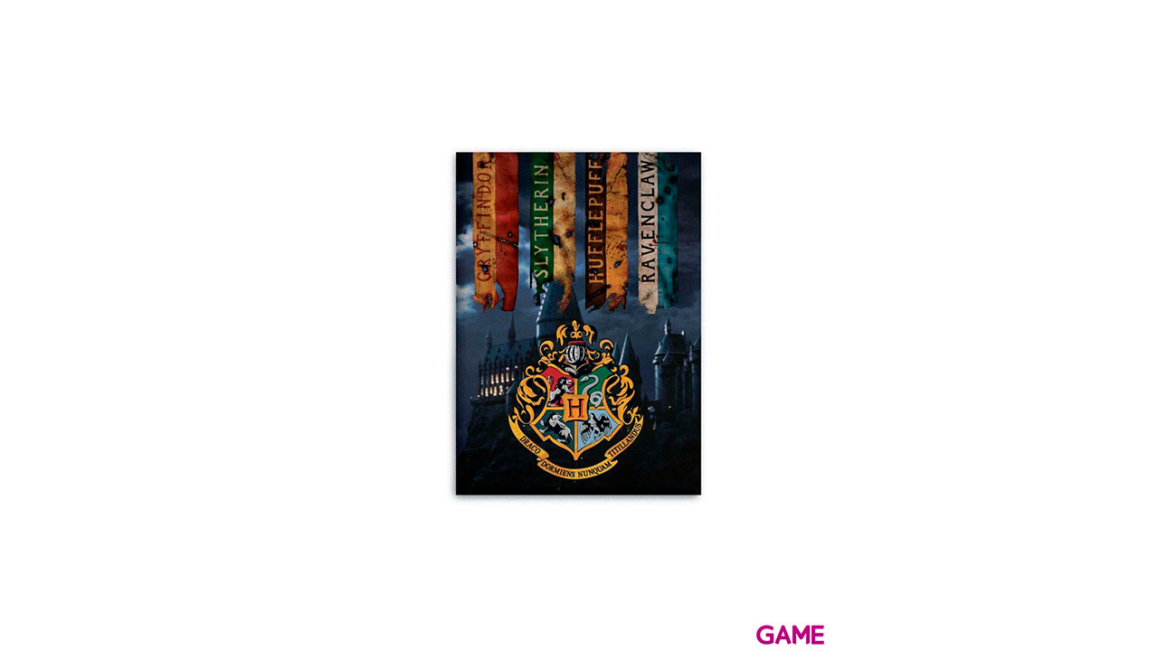 Manta Polar Harry Potter: Casas de Hogwarts-0