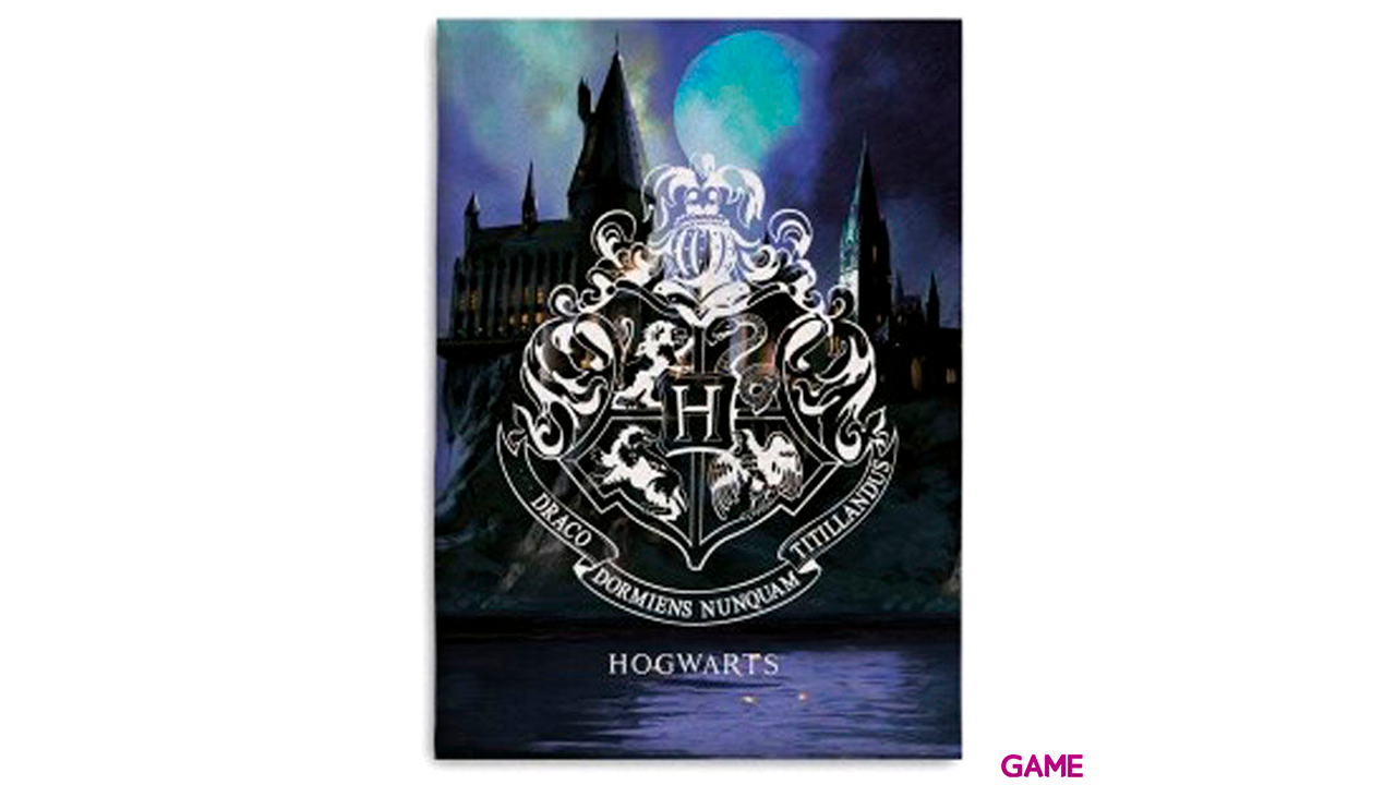 Manta Polar Harry Potter Hogwarts-0