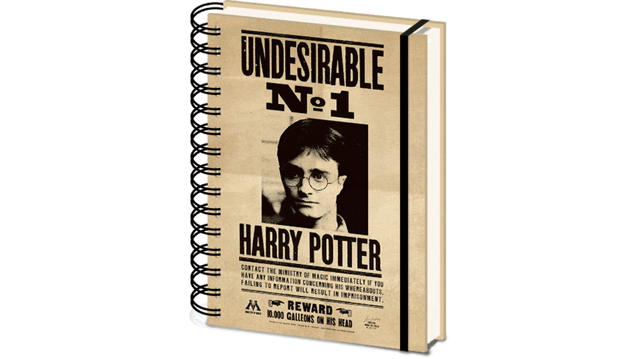 Cuaderno A5 Espiral Harry Potter Sirius & Harry 3D-0