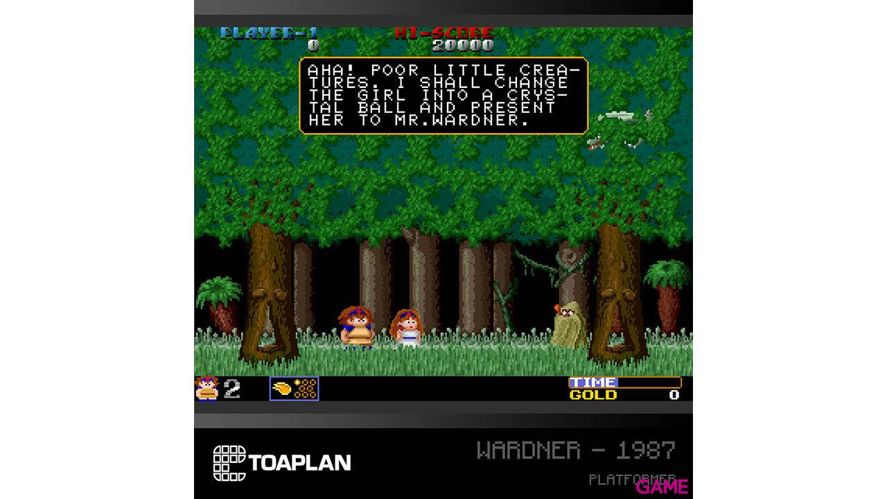 Cartucho Evercade Toaplan Arcade Collection 2-3