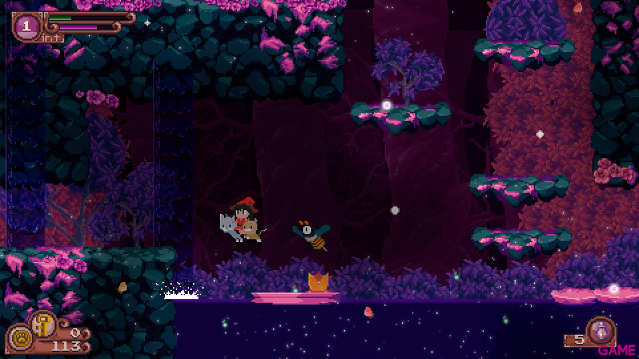 Catmaze-3
