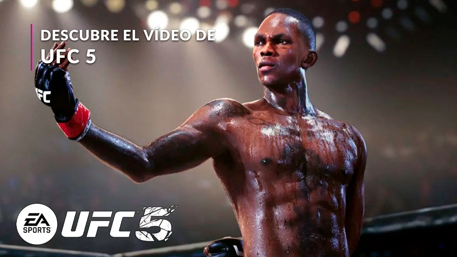 UFC® 4: Lote de combatiente