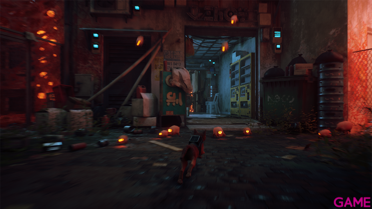 Stray. Xbox One: GAME.es