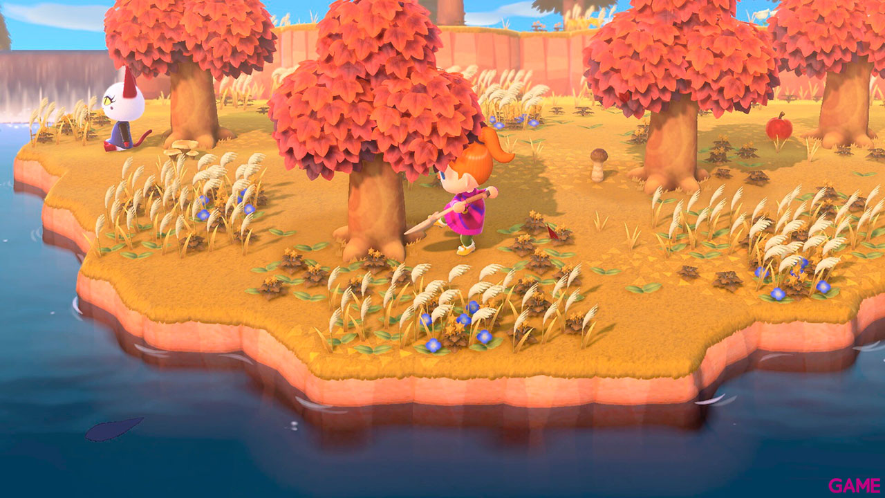 Nintendo Switch + Animal Crossing: New Horizons-13